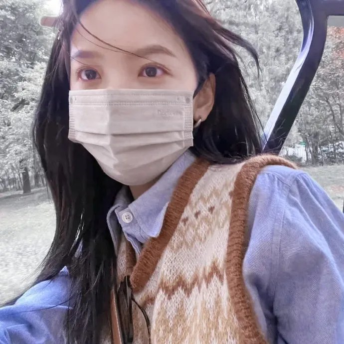 丝黛芬妮